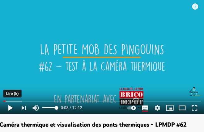 Vidéo de caméra thermique des bloggeurs comme des pingouins